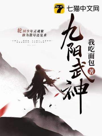 叶云飞苏清洛九阳武神完结篇