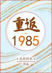 重返1985全文阅读