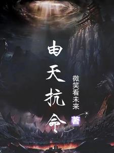 混沌飞王凡尔斯