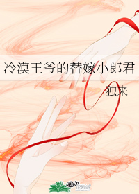 《冷漠王爷的替嫁小郎君》