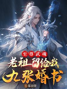 小说《至尊武魂》